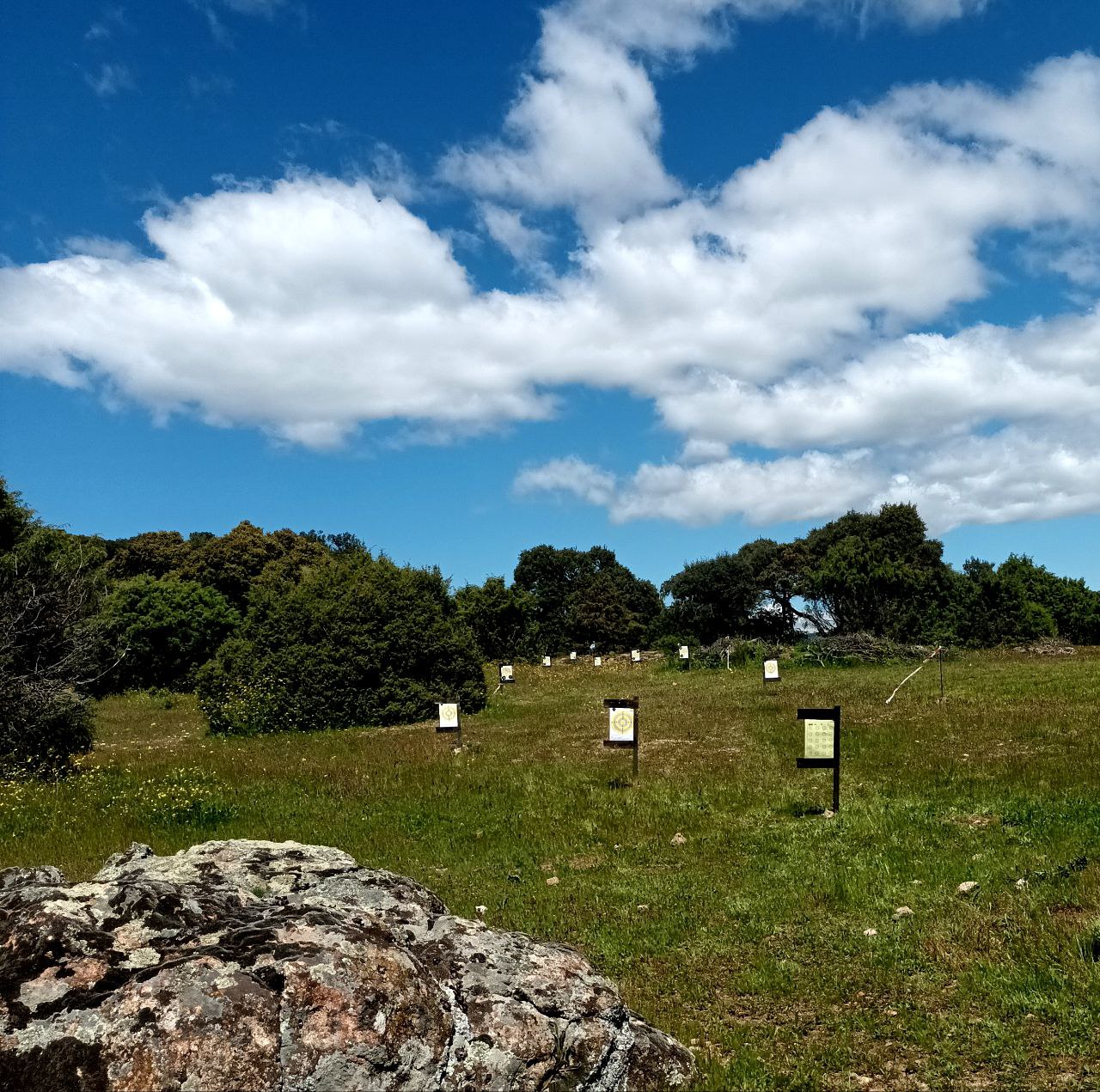 Diversidad de recorridos