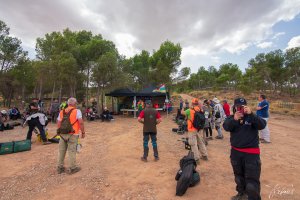 _dsc6707