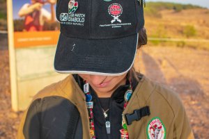 _dsc6953