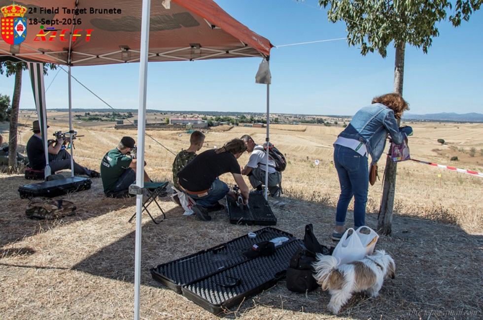 Exhibición de FT Brunete 2016