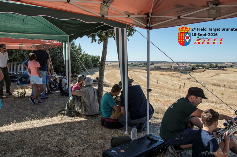 Exhibición de FT en Brunete 2016