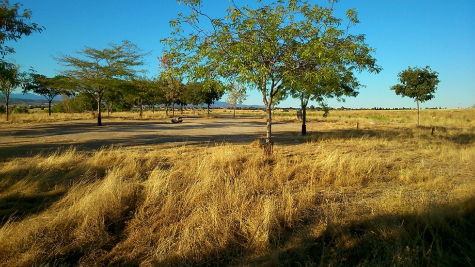 Exhibición de FT en Brunete 2016